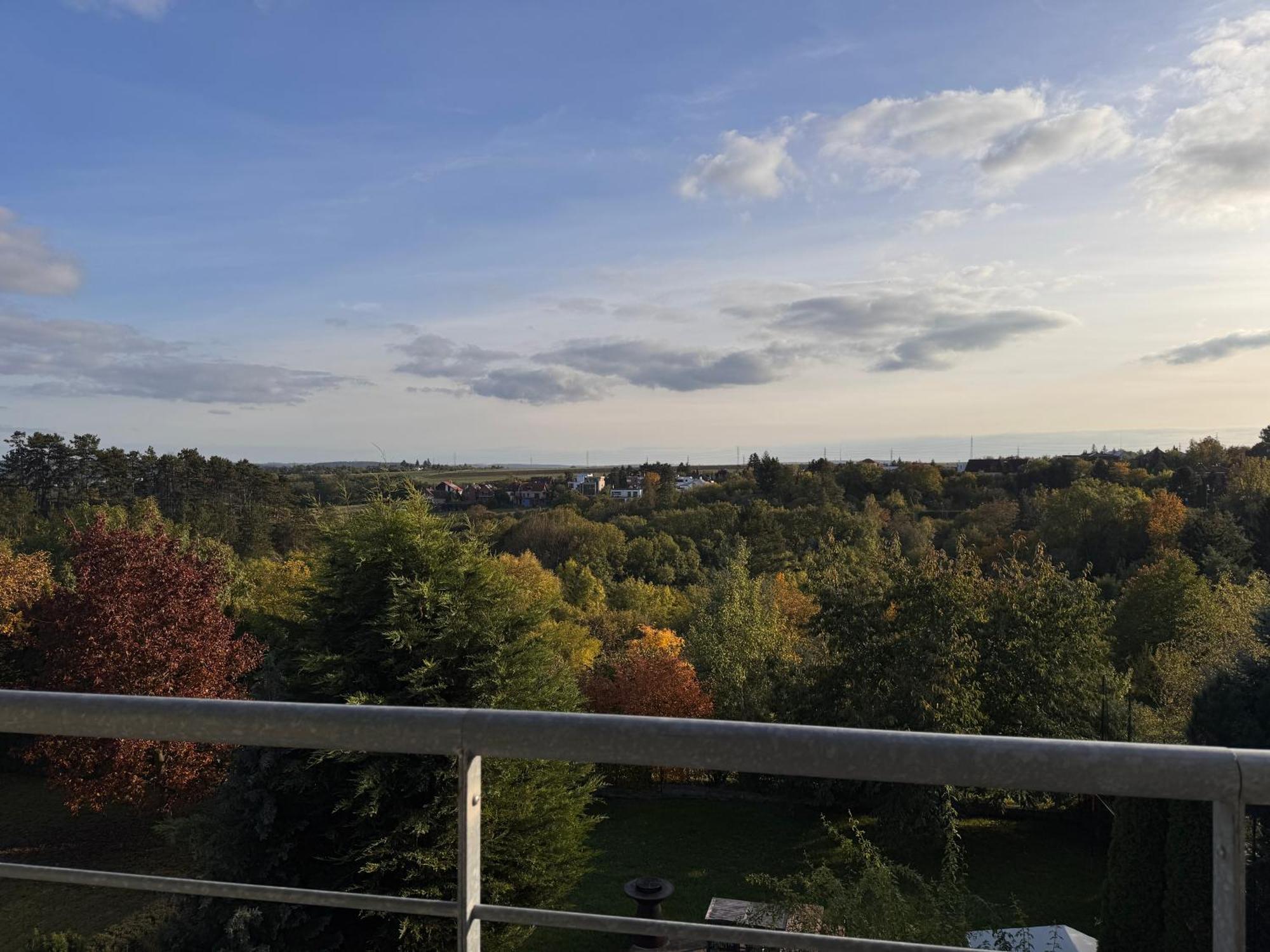 Diamondvilla, 4 Bedroom Apartment, Garden & Spa Prag Exterior foto